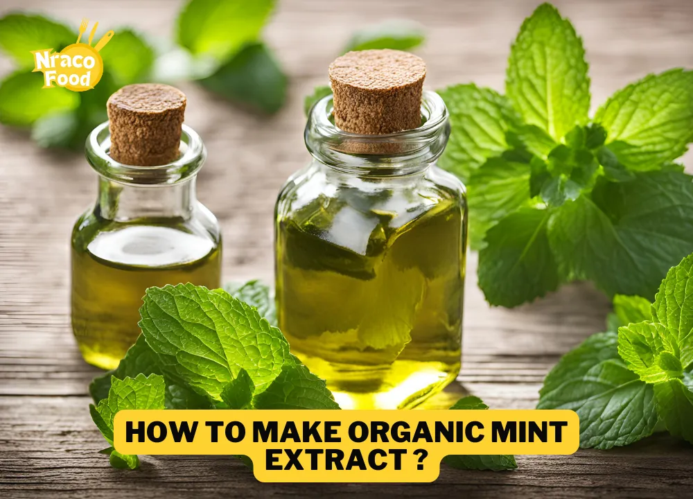 How To Make Organic Mint Extract ?